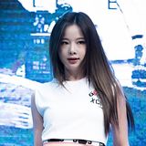 솔지