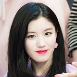 시연