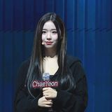 김채연