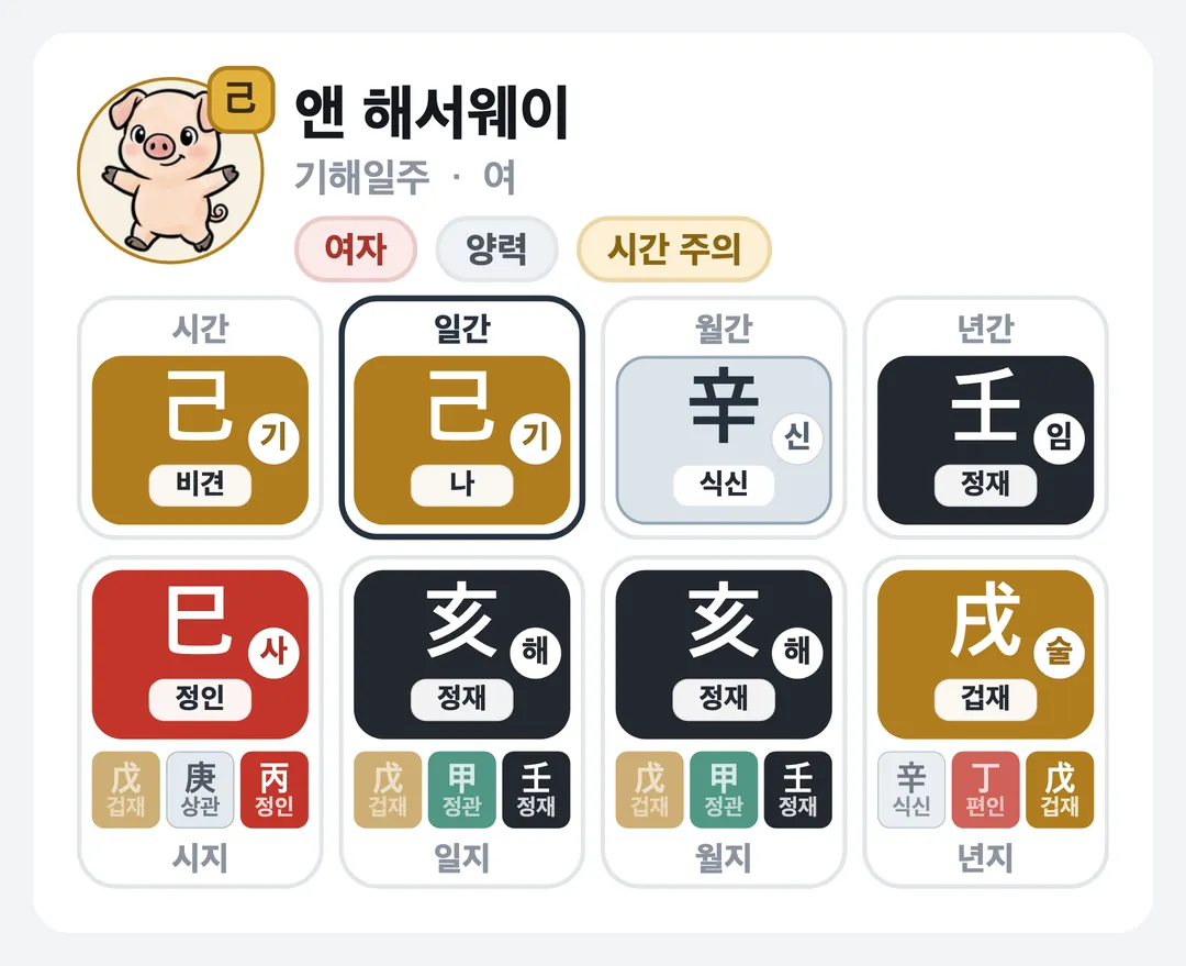 앤 해서웨이 사주 원국 — 기해일주