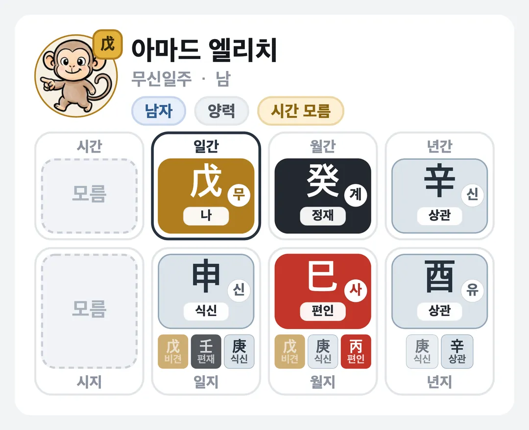 아마드 엘리치 사주 원국 — 무신일주
