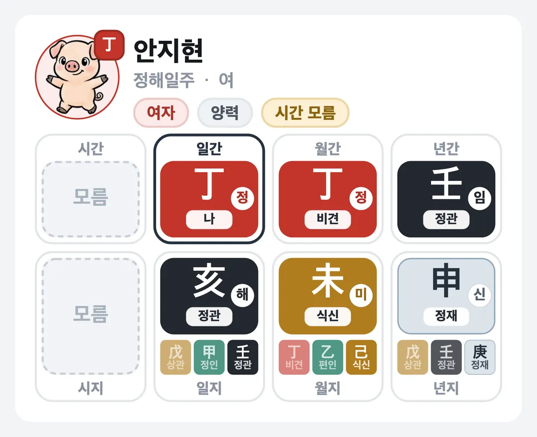안지현 사주 원국 — 정해일주