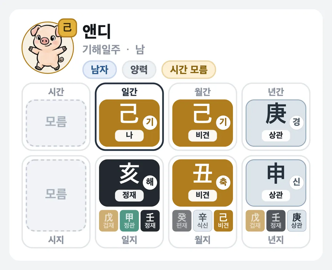 앤디 사주 원국 — 기해일주