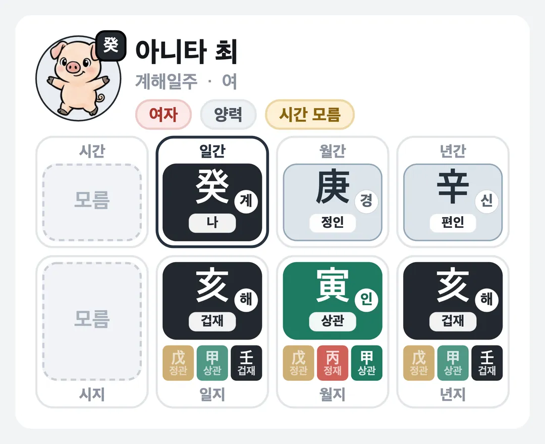 아니타 최 사주 원국 — 계해일주