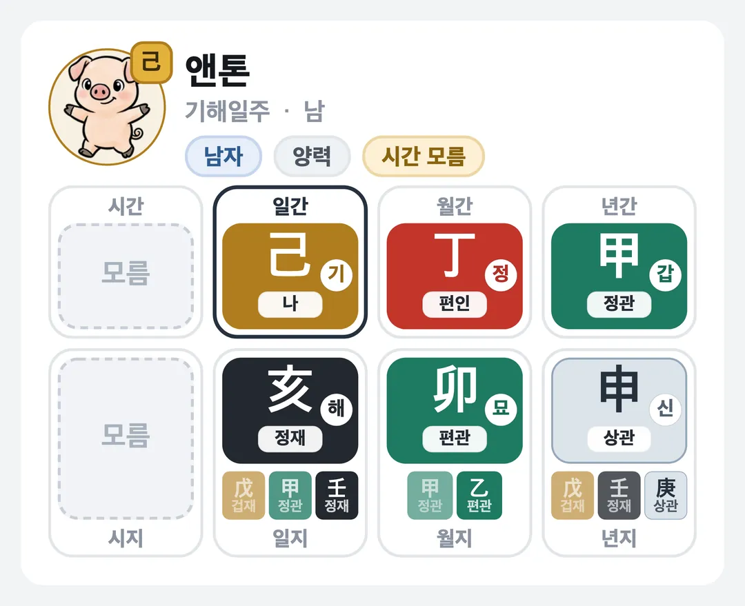 앤톤 사주 원국 — 기해일주