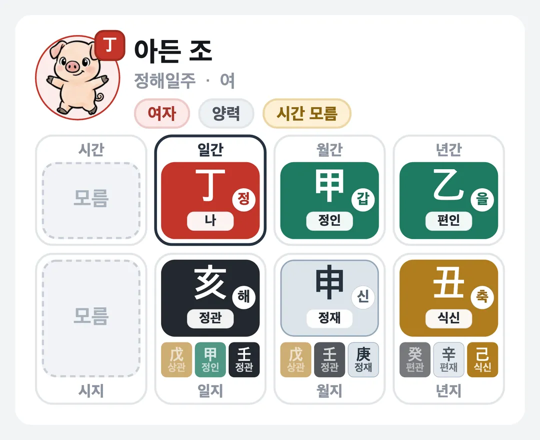 아든 조 사주 원국 — 정해일주