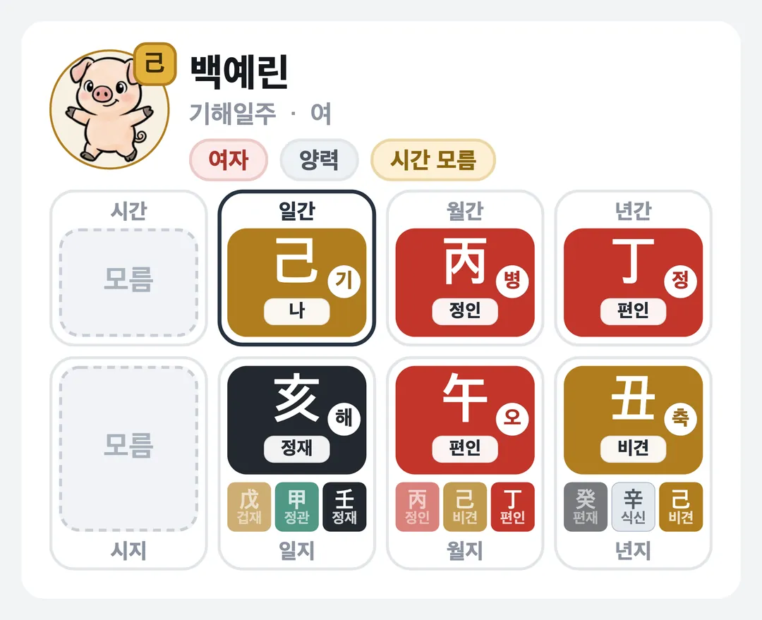 백예린 사주 원국 — 기해일주