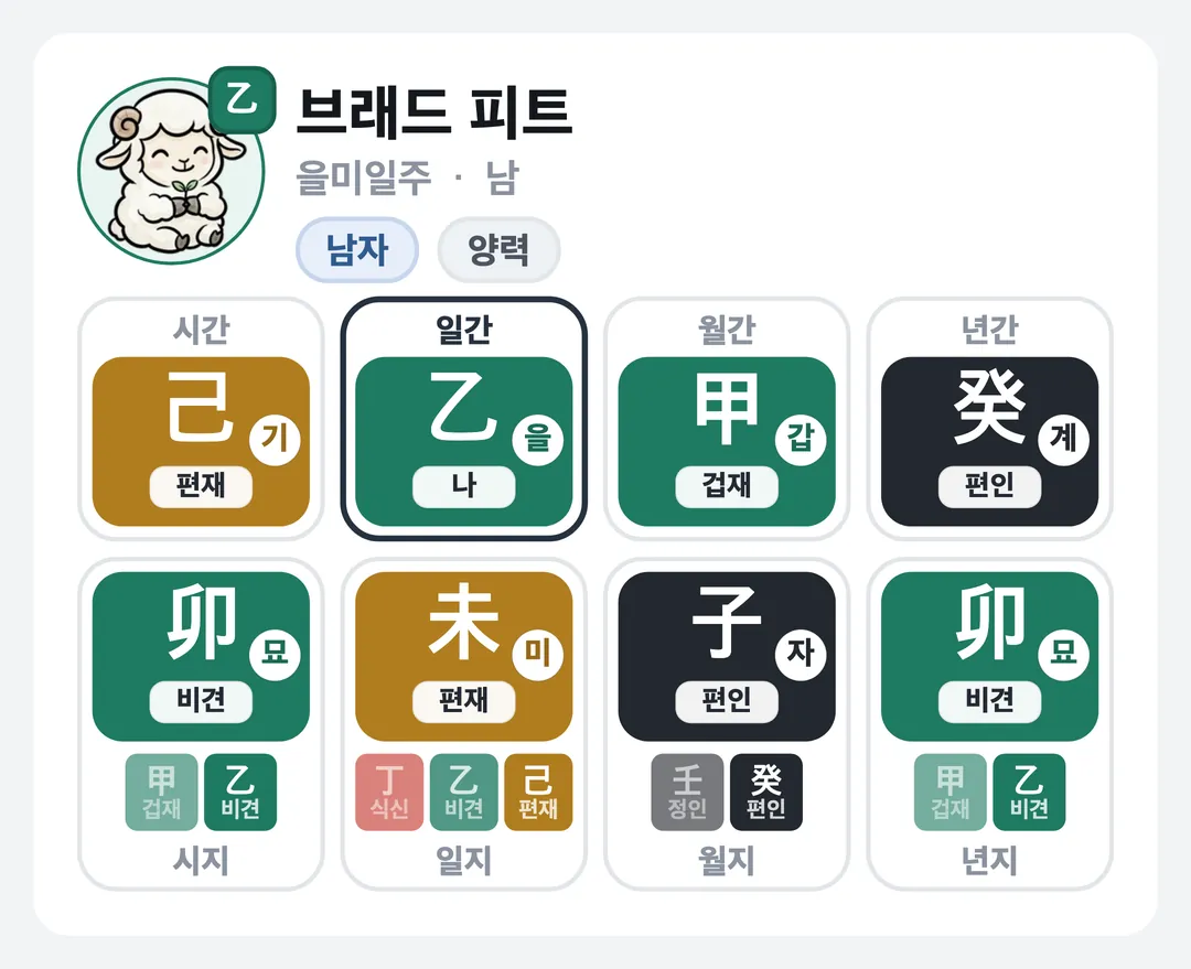 브래드 피트 사주 원국 — 을미일주