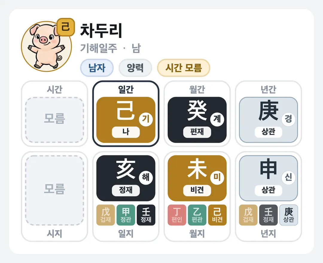 차두리 사주 원국 — 기해일주