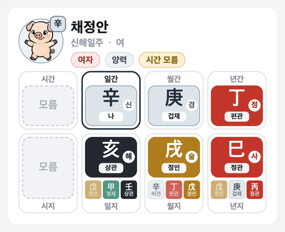 채정안 사주 원국 — 신해일주