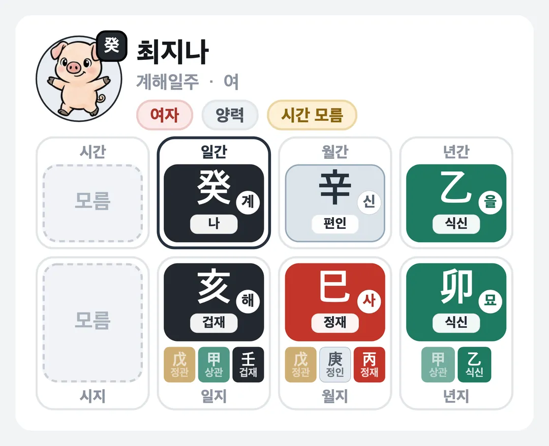 최지나 사주 원국 — 계해일주