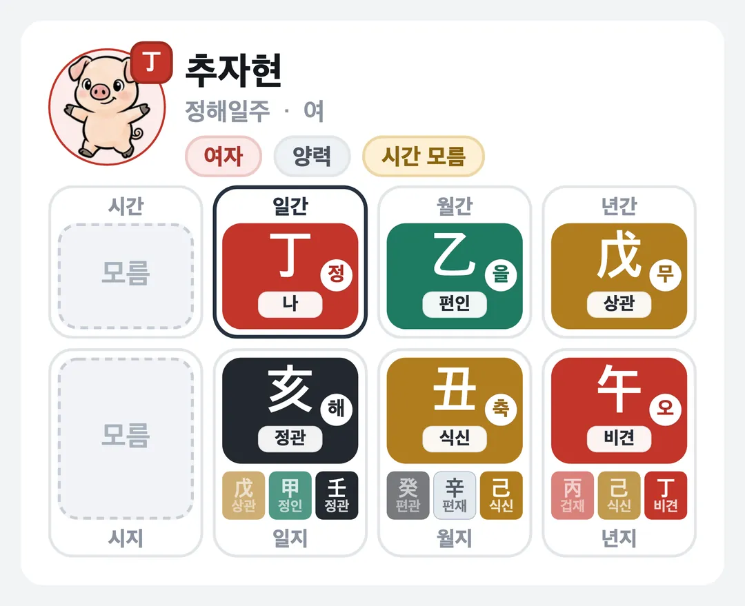 추자현 사주 원국 — 정해일주
