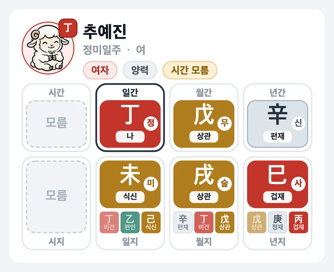 추예진 사주 원국 — 정미일주