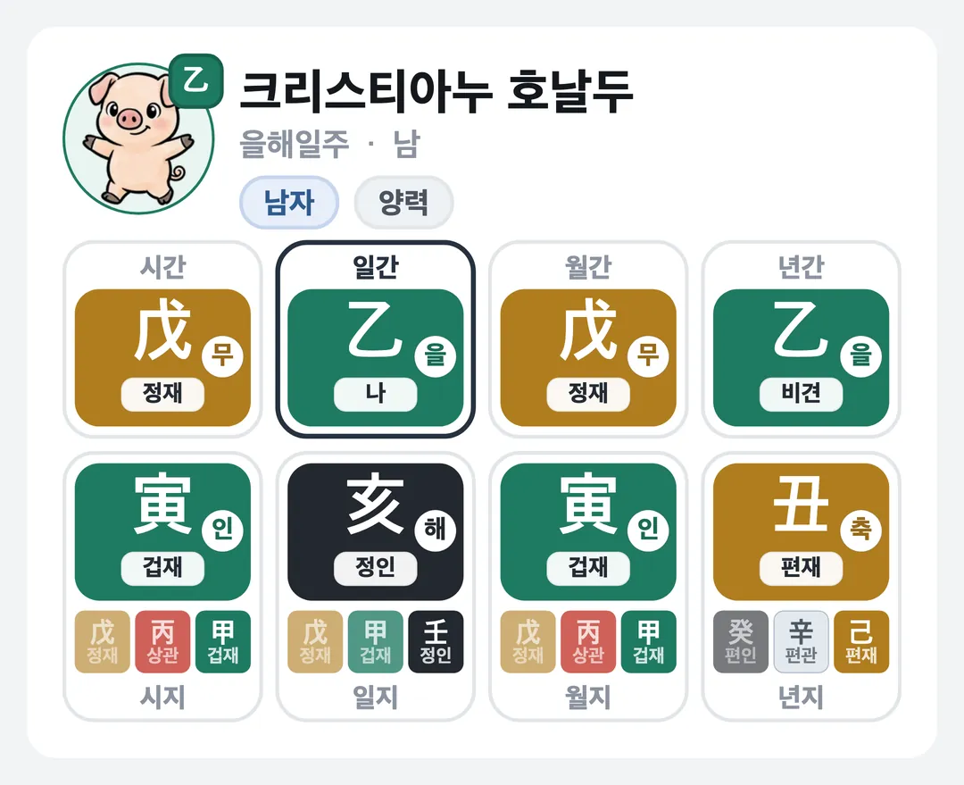 크리스티아누 호날두 사주 원국 — 을해일주