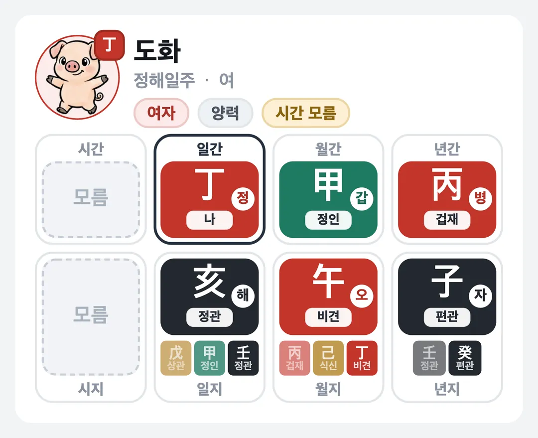 도화 사주 원국 — 정해일주