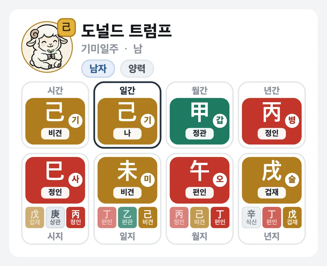 도널드 트럼프 사주 원국 — 기미일주
