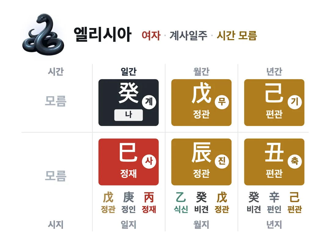 엘리시아 사주 원국 — 계사일주