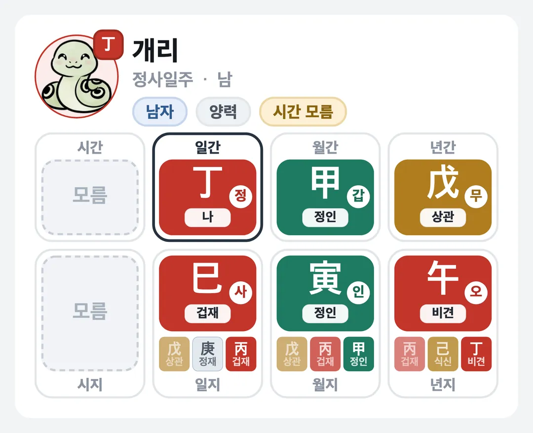 개리 사주 원국 — 정사일주