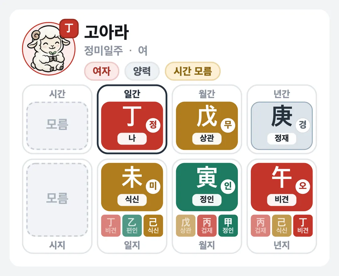 고아라 사주 원국 — 정미일주
