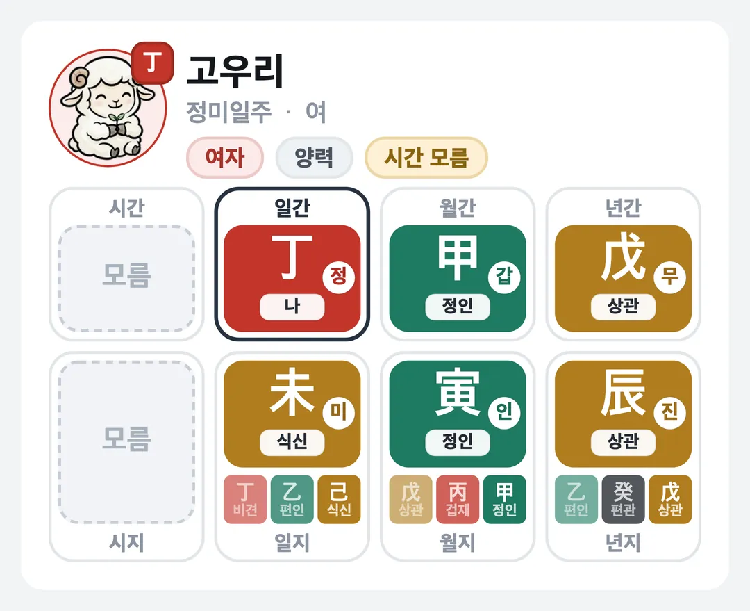 고우리 사주 원국 — 정미일주