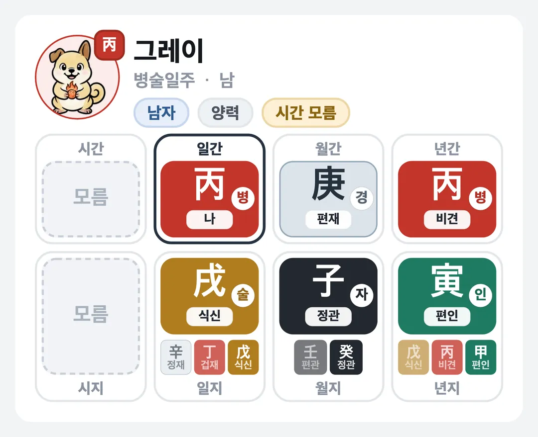 그레이 사주 원국 — 병술일주