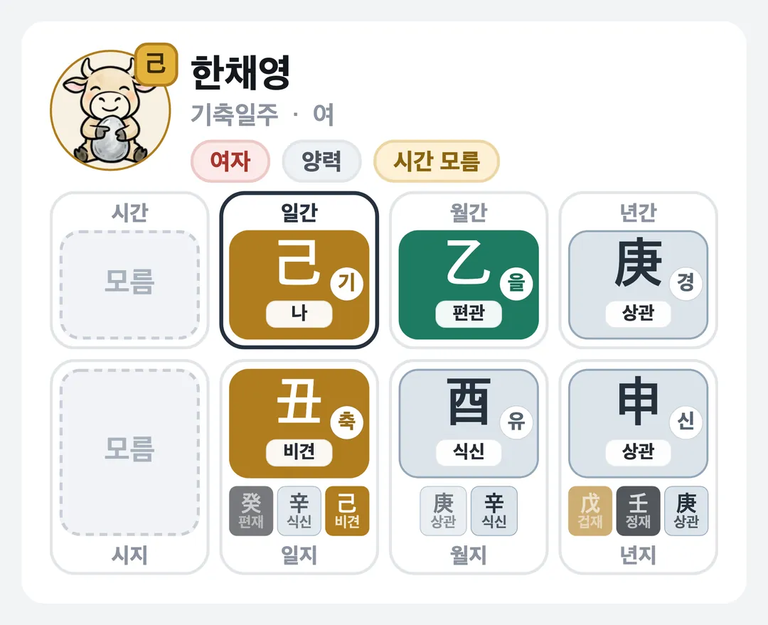 한채영 사주 원국 — 기축일주