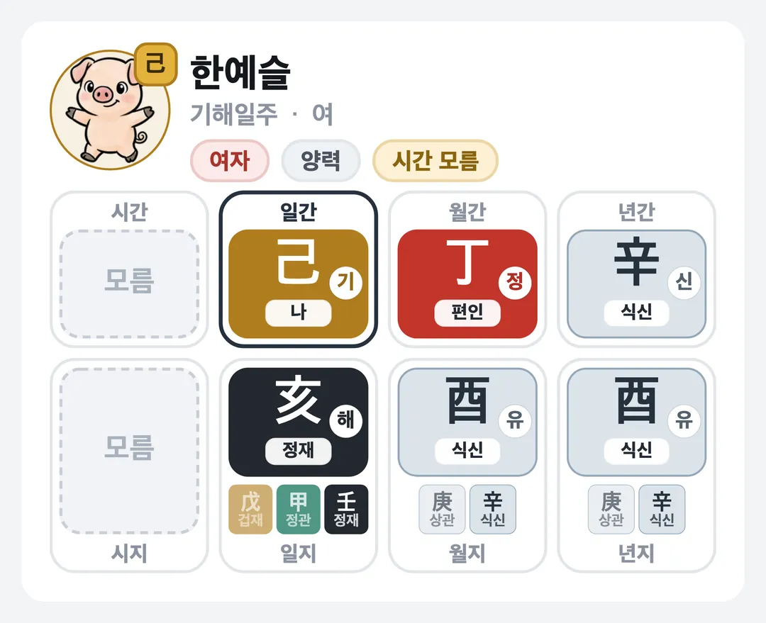한예슬 사주 원국 — 기해일주