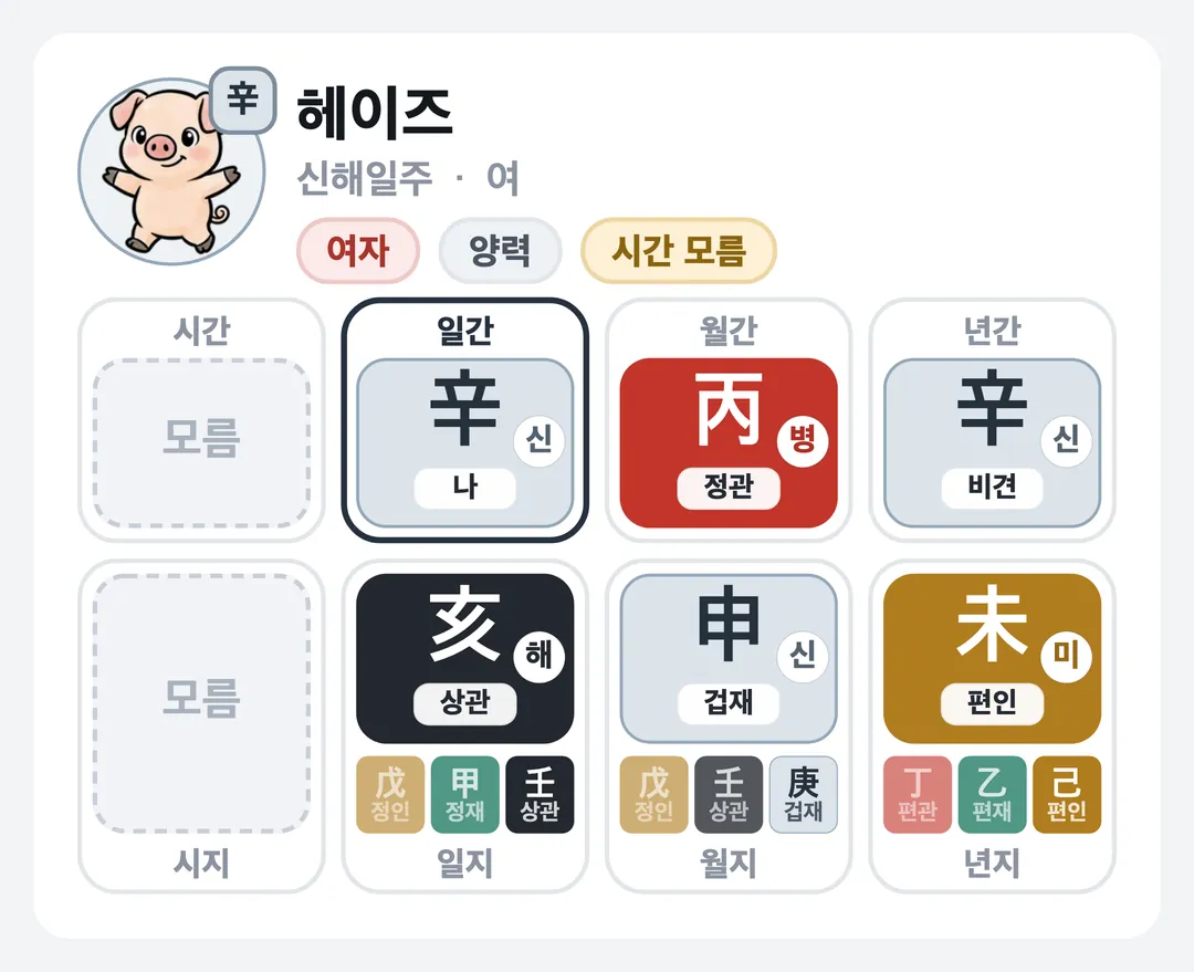헤이즈 사주 원국 — 신해일주