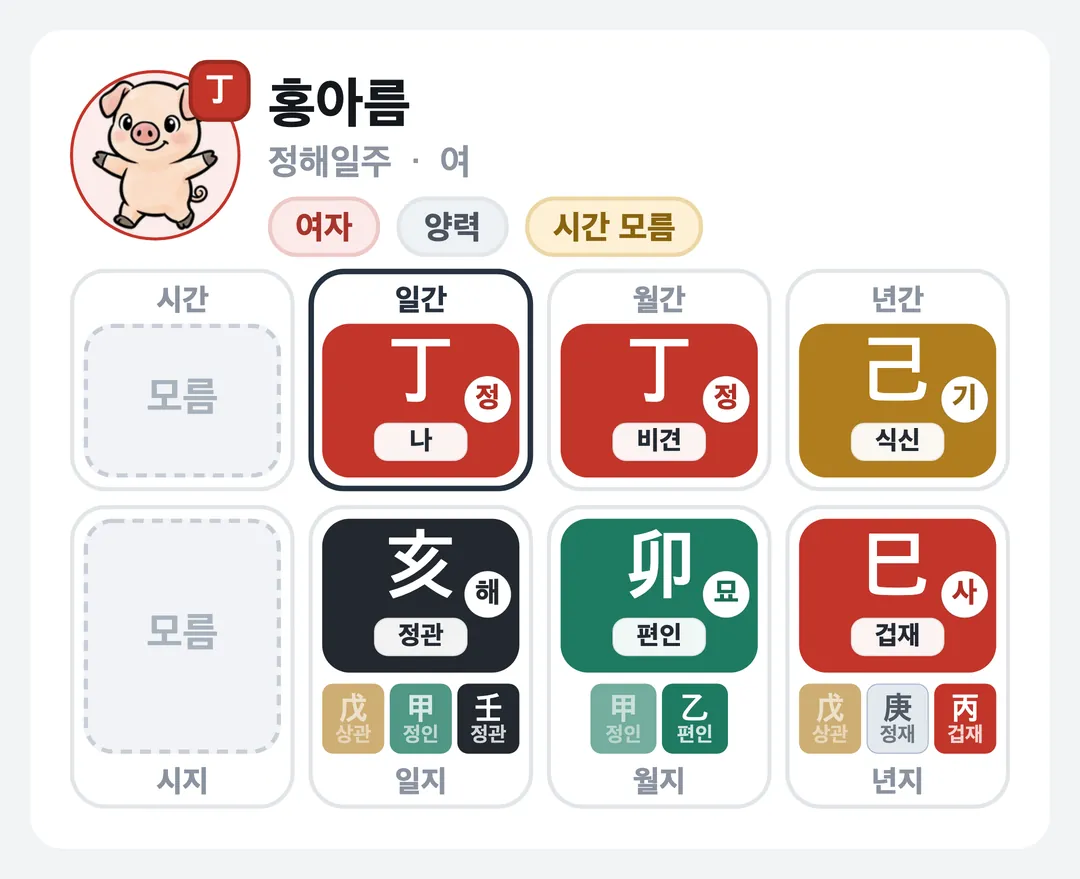 홍아름 사주 원국 — 정해일주