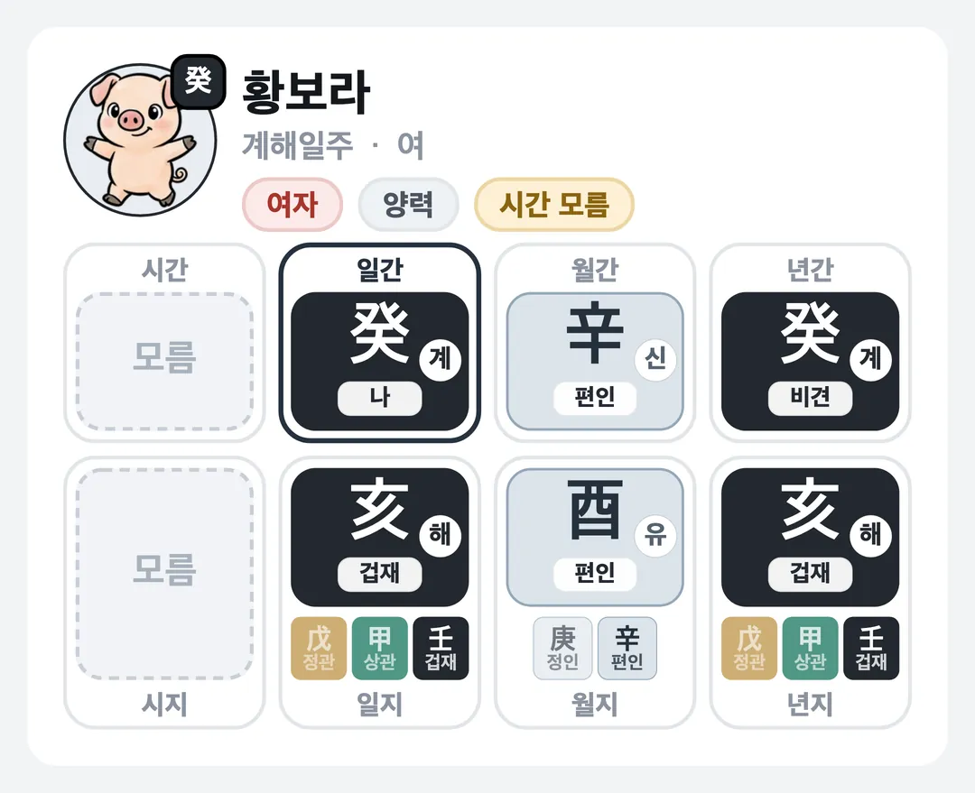 황보라 사주 원국 — 계해일주