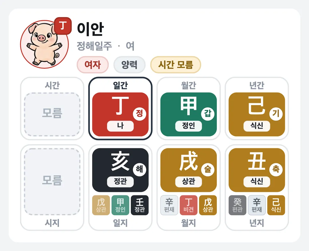 이안 사주 원국 — 정해일주