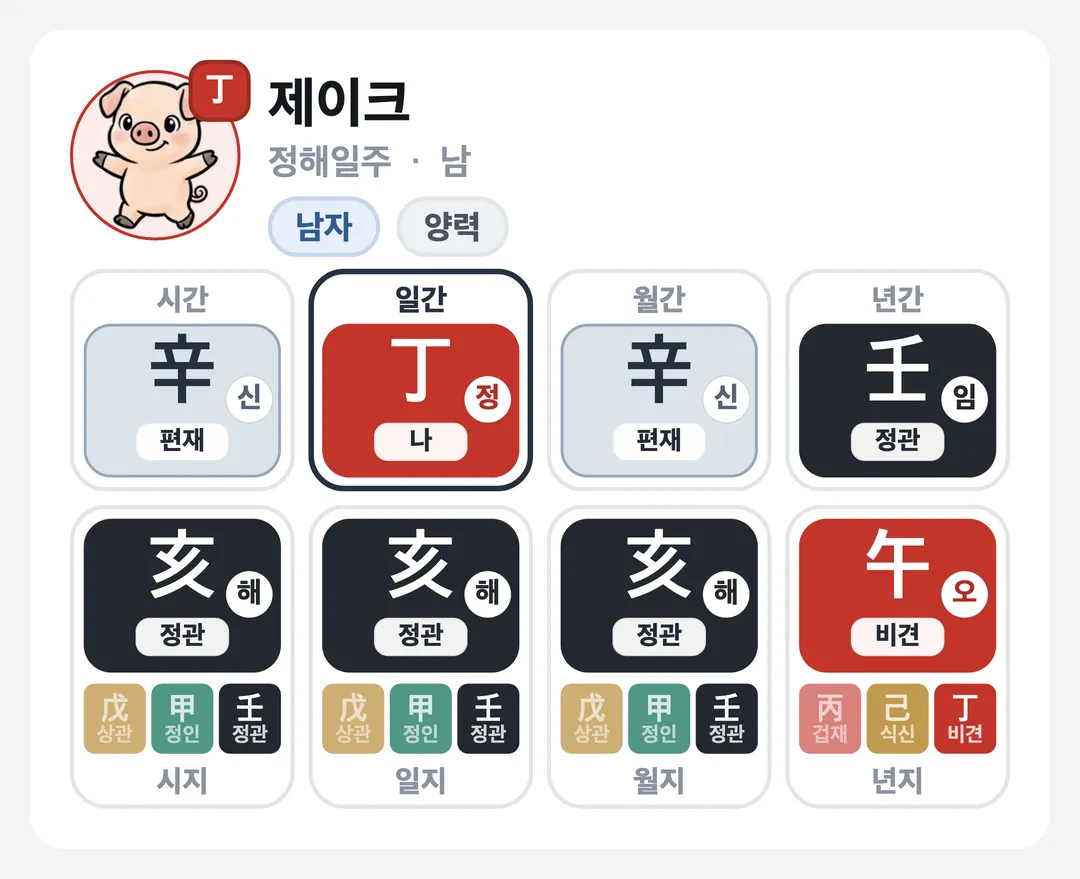 제이크 사주 원국 — 정해일주