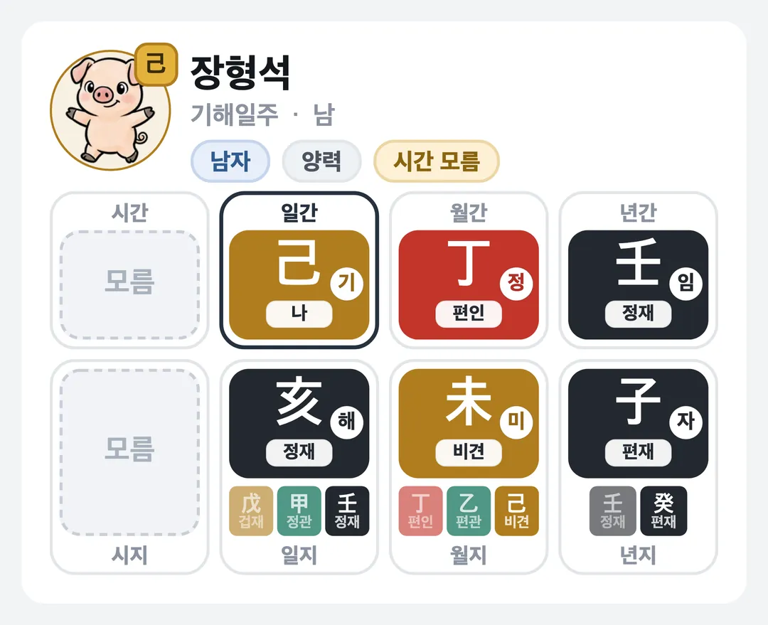장형석 사주 원국 — 기해일주