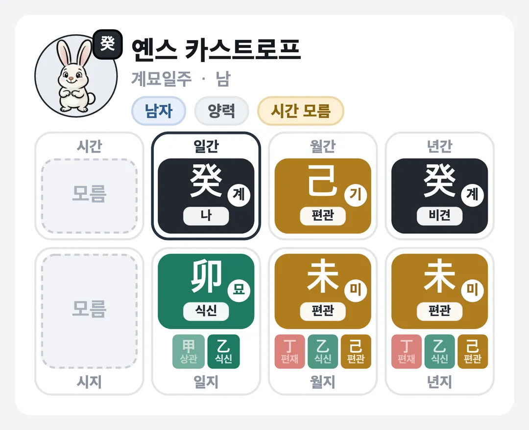 옌스 카스트로프 사주 원국 — 계묘일주