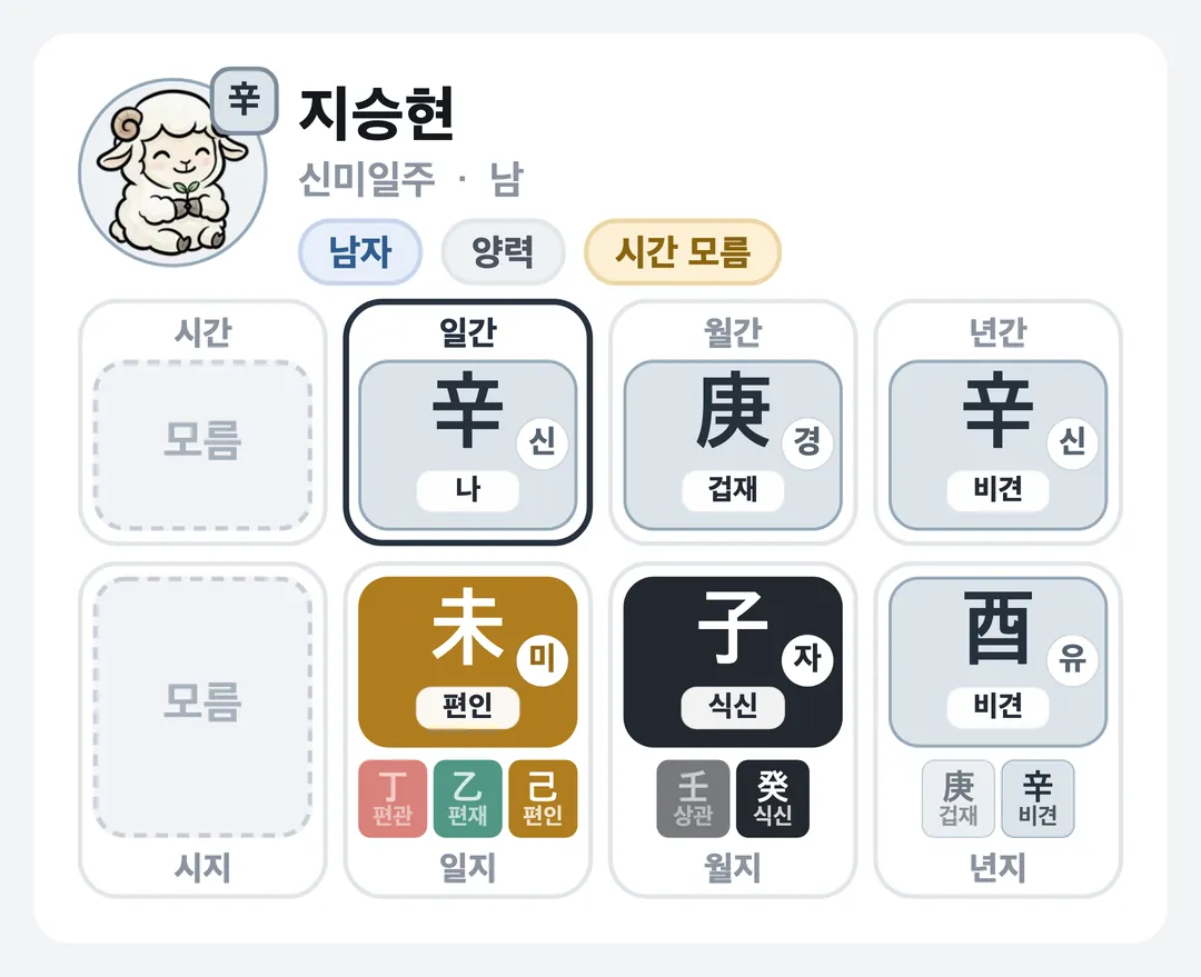 지승현 사주 원국 — 신미일주