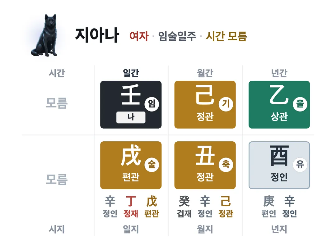 지아나 사주 원국 — 임술일주