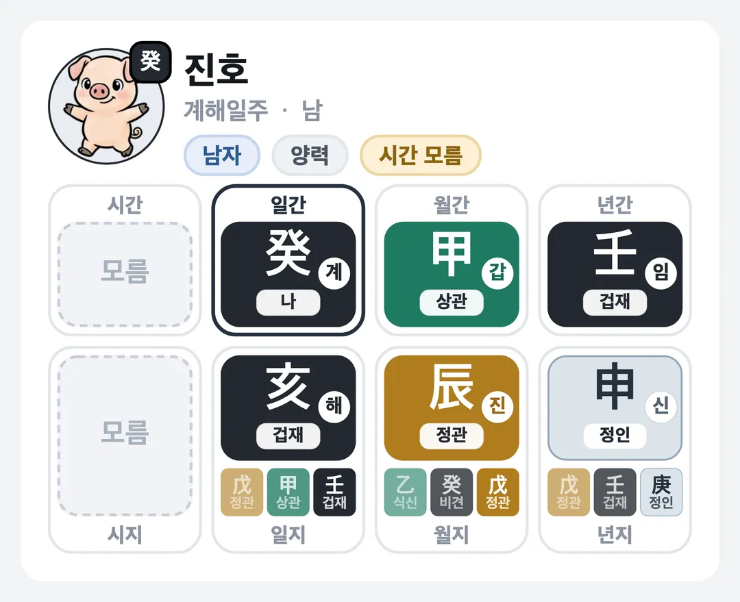 진호 사주 원국 — 계해일주