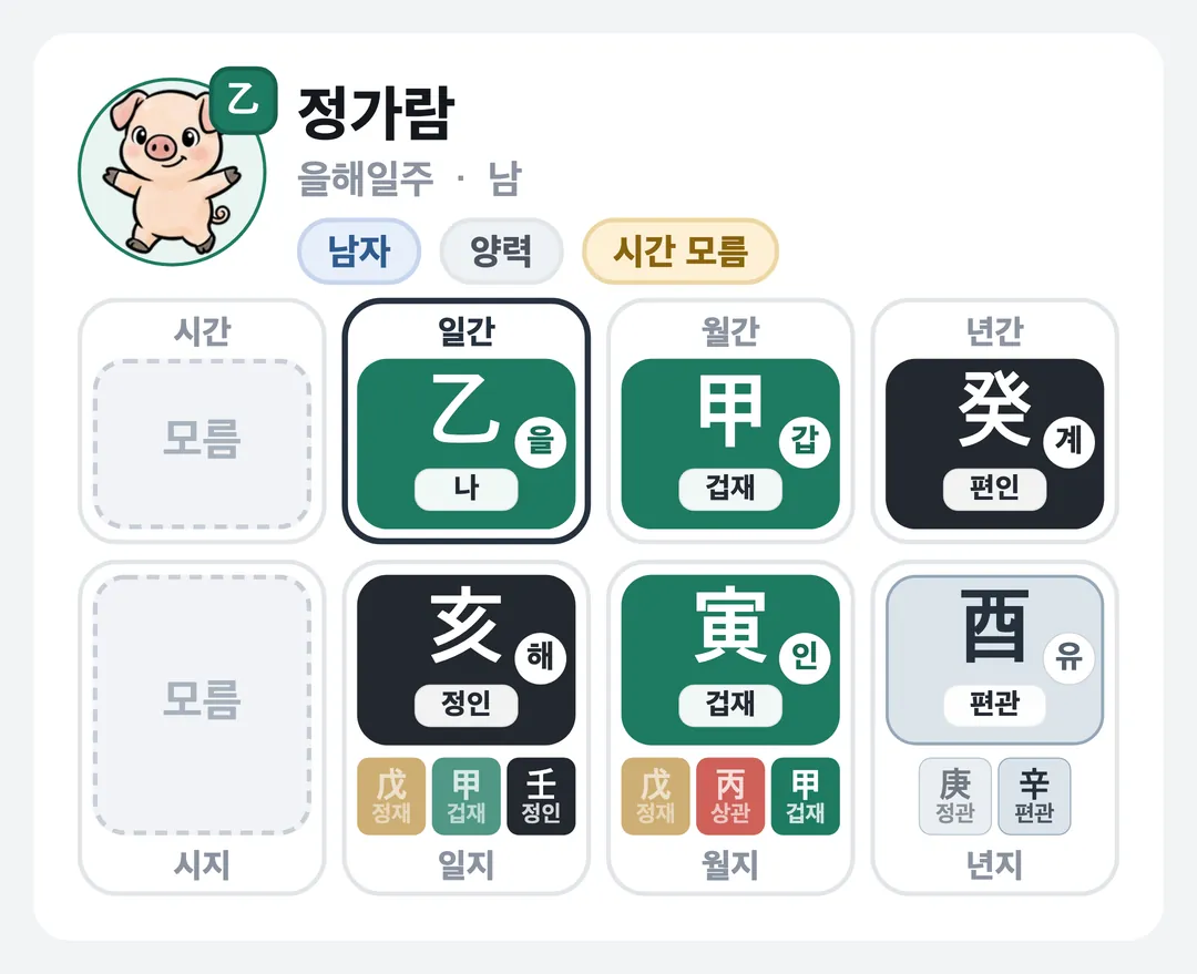 정가람 사주 원국 — 을해일주