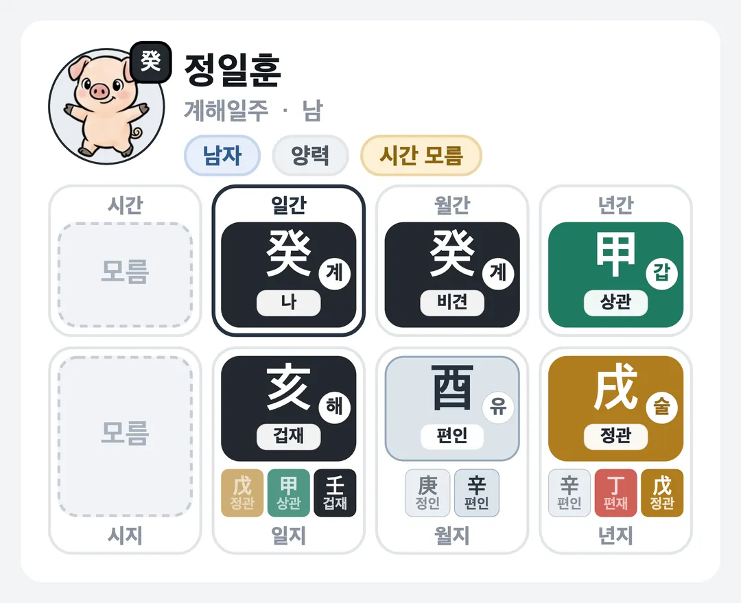 정일훈 사주 원국 — 계해일주