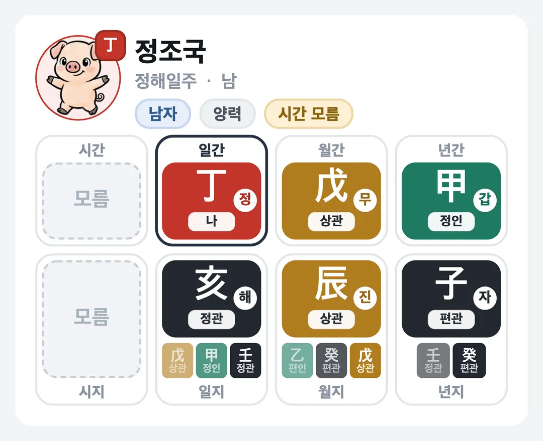 정조국 사주 원국 — 정해일주