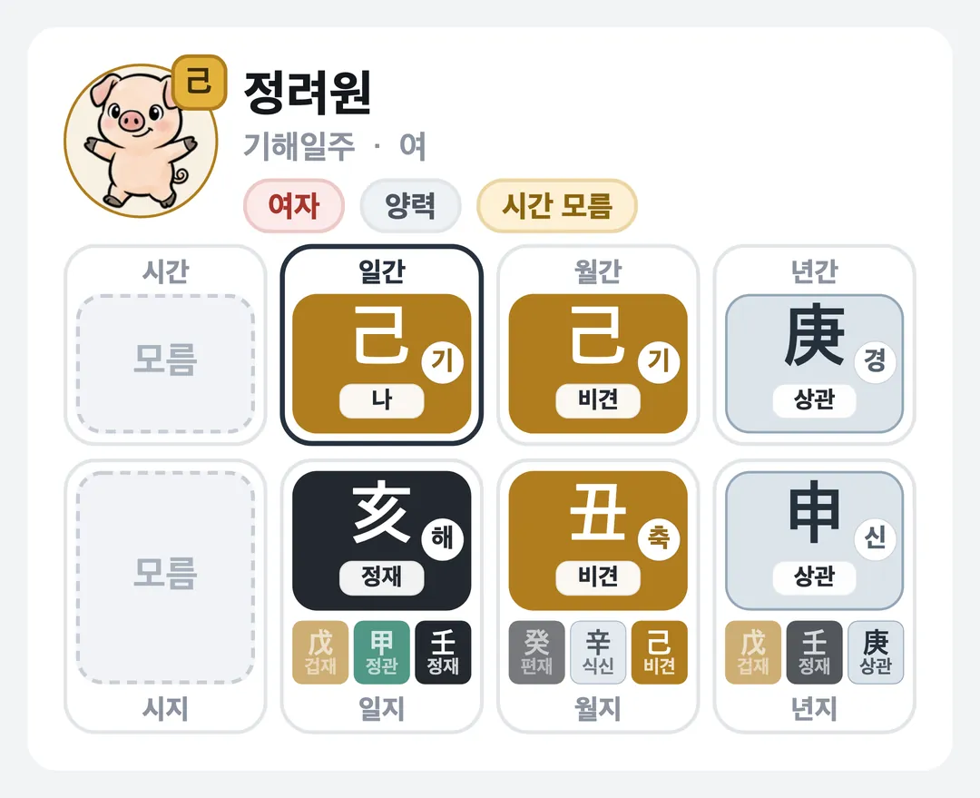 정려원 사주 원국 — 기해일주