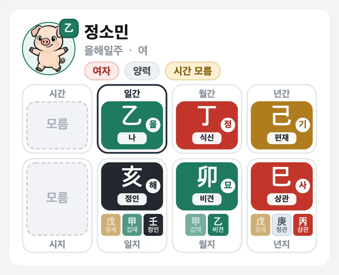 정소민 사주 원국 — 을해일주