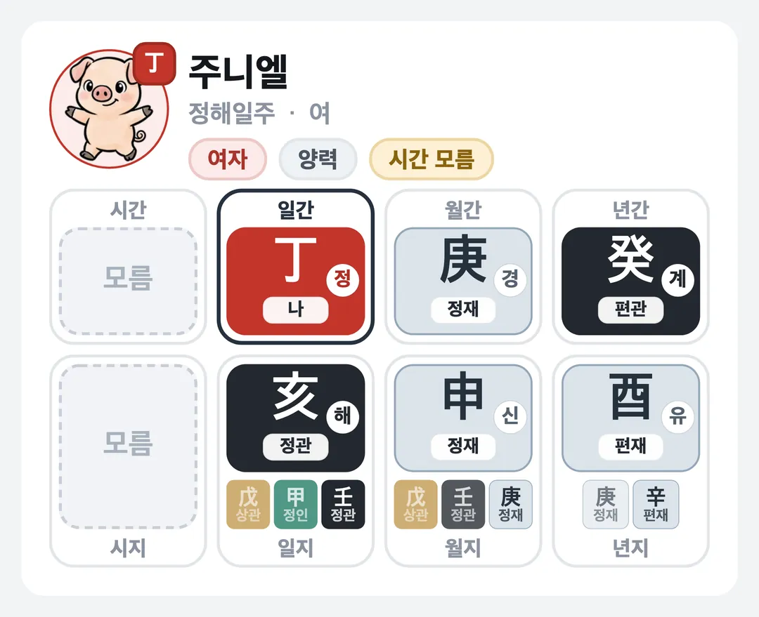 주니엘 사주 원국 — 정해일주