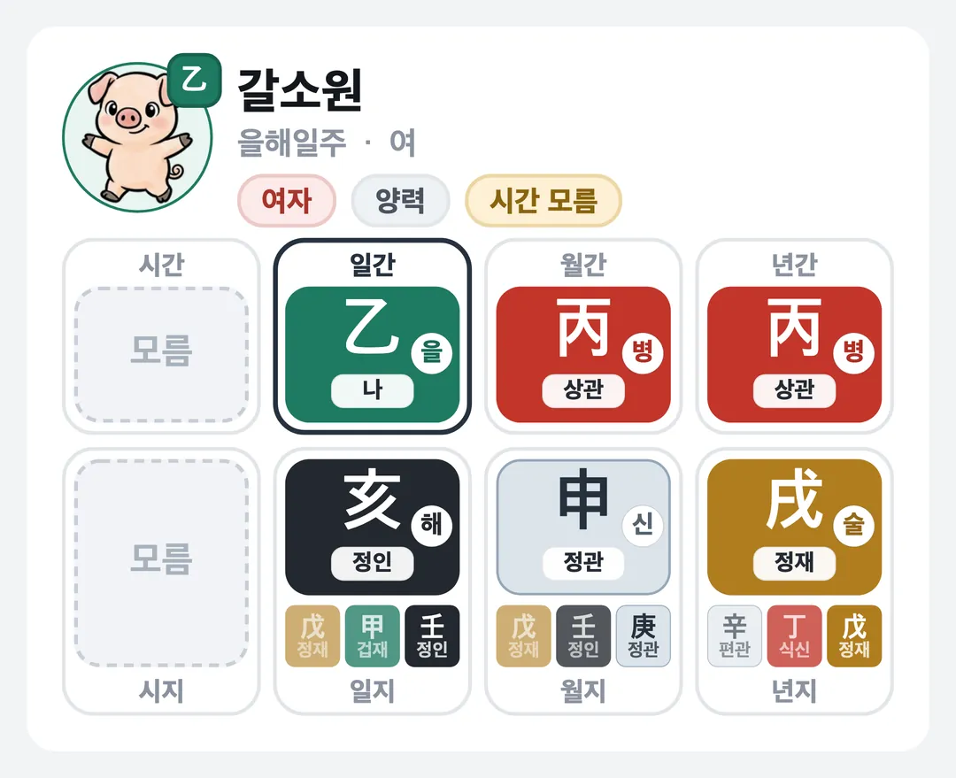 갈소원 사주 원국 — 을해일주