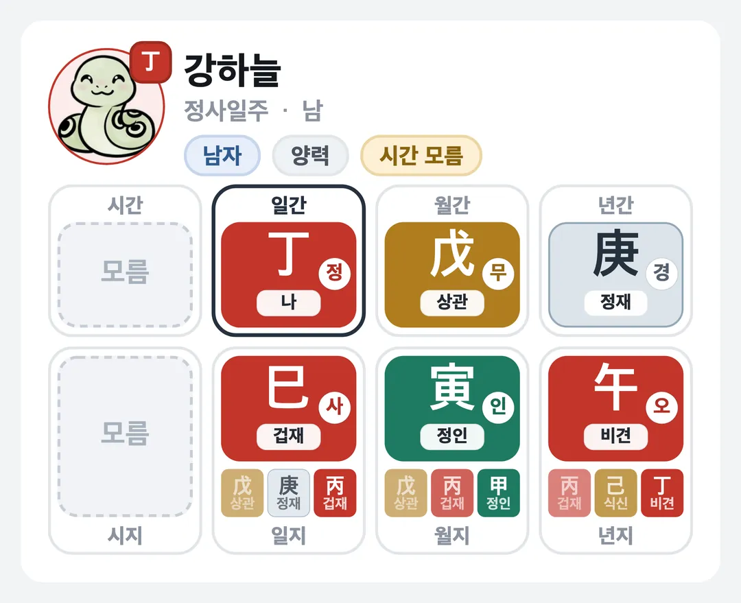 강하늘 사주 원국 — 정사일주