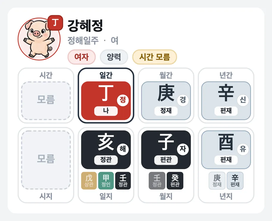 강혜정 사주 원국 — 정해일주