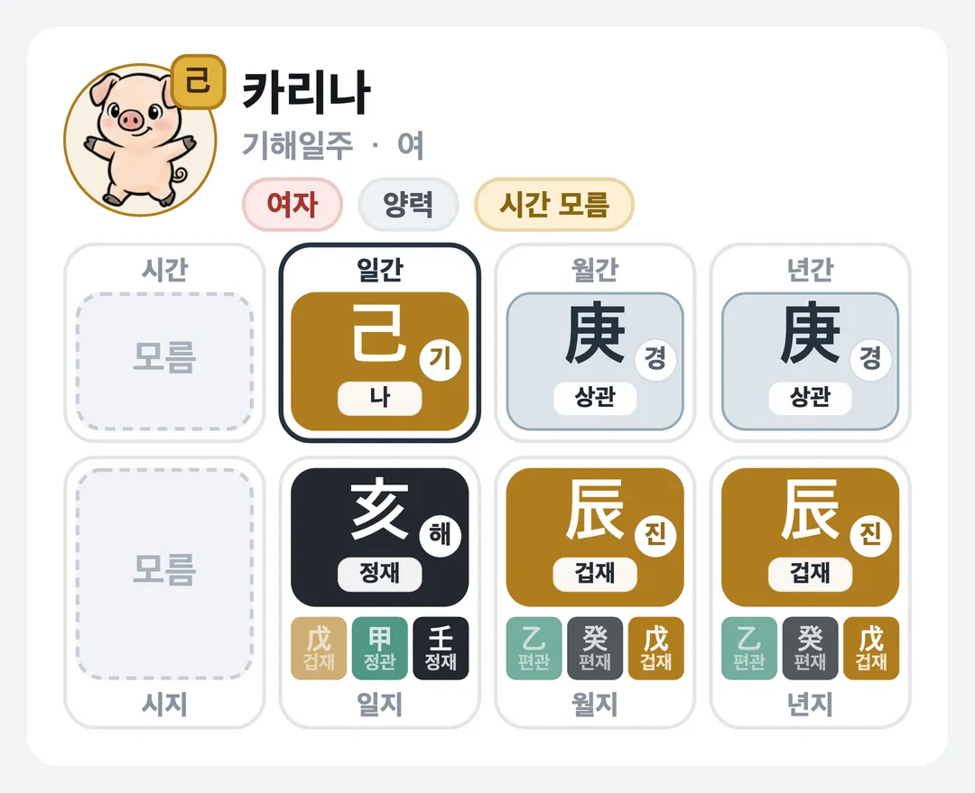 카리나 사주 원국 — 기해일주