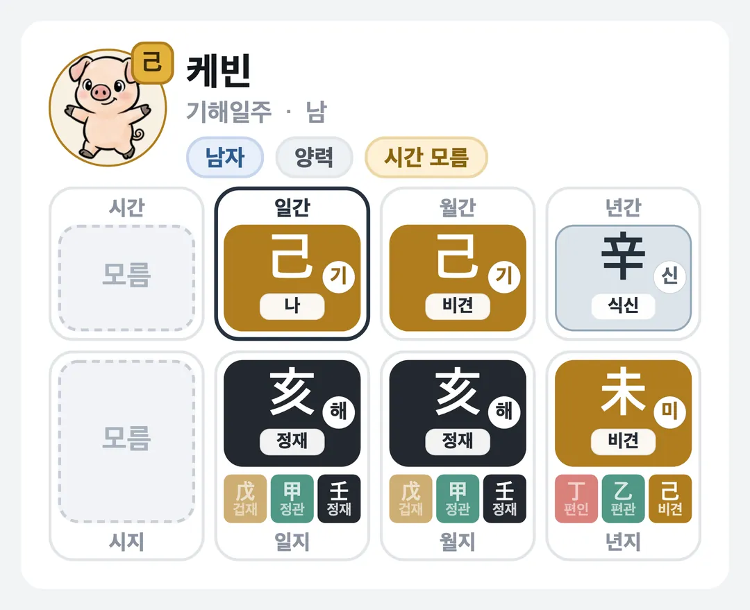 케빈 사주 원국 — 기해일주