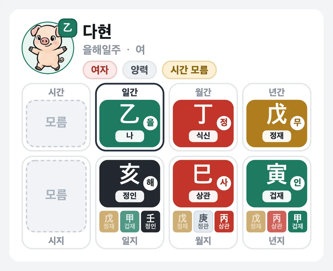 다현 사주 원국 — 을해일주