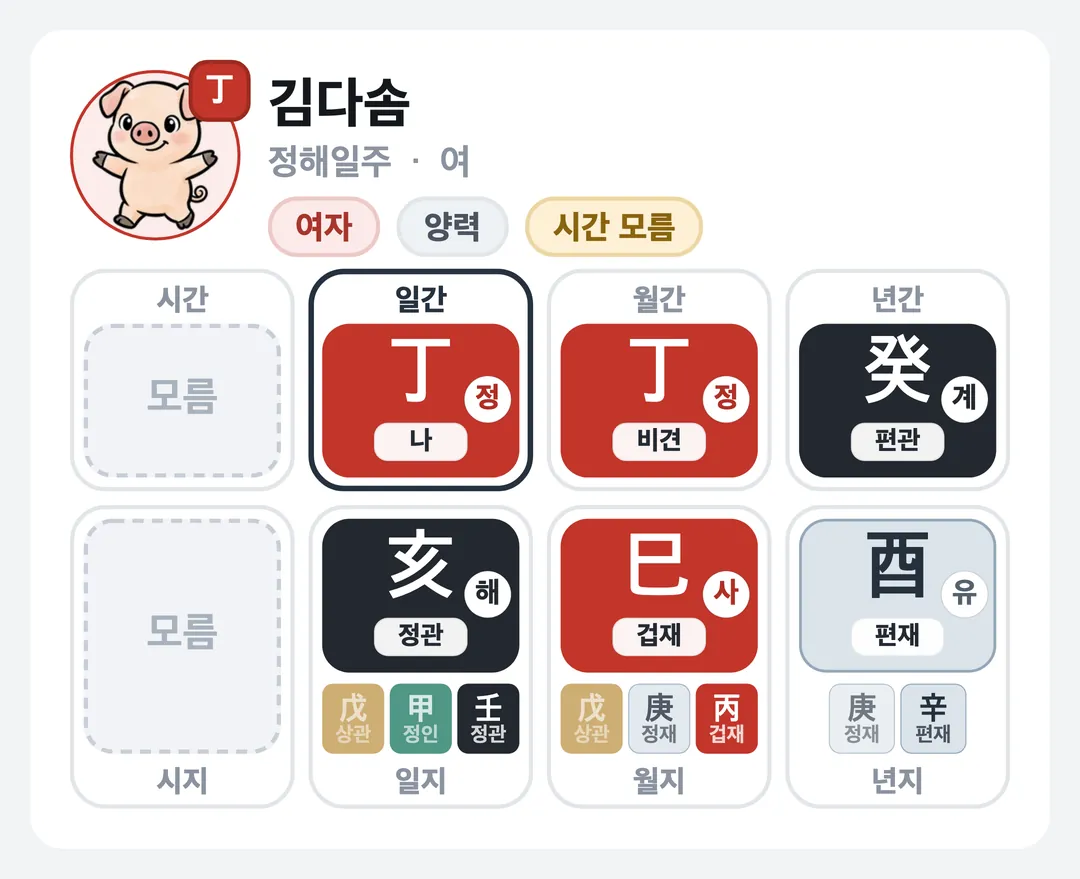 김다솜 사주 원국 — 정해일주